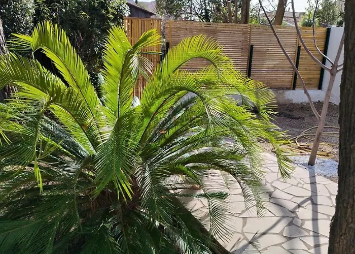 Charmante Maison 2 Proche Du Centre Jardin